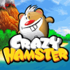 Сумасшедший хомяк / Crazy Hamster