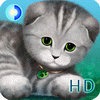 Живые обои: Серебристый котенок HD / Silvery the Kitten HD LWP