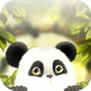 Живые обои с пандой / Live Wallpaper with panda
