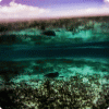 Lagoon Waves Live Wallpaper 4