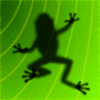Древняя Лягушка / Ancient Frog