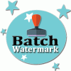 Watermark Batch