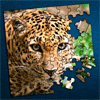 Пазлы-картинки Jigty / Jigty Jigsaw Puzzles