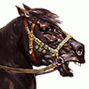Mount & Blade: Warband