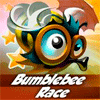 Гонки шмелей / Bumblebee Race