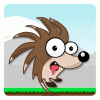 Hedgie Ball
