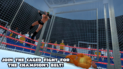 Wrestling Fighting Revolution