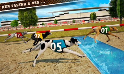 Dog Race &- Stunts 2016