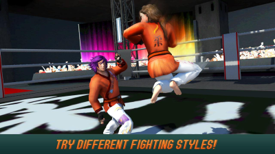 Karate Fighting Tiger 3D - 2