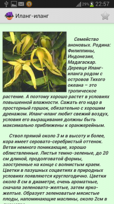 Комнатные растения / Houseplants