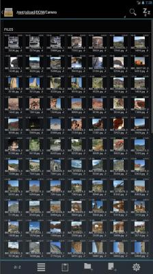 Duo: Holo File Manager Pro