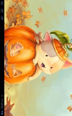 Pumpkin Kitten Live Wallpaper