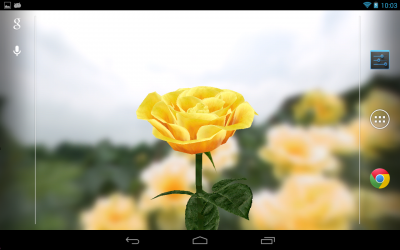 3D Rose Live Wallpaper
