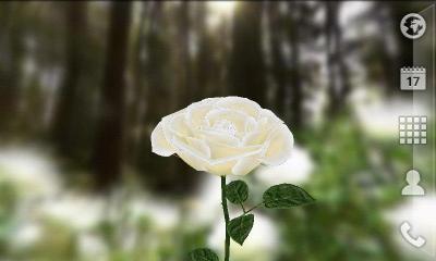 3D Rose Live Wallpaper