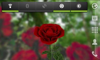 3D Rose Live Wallpaper