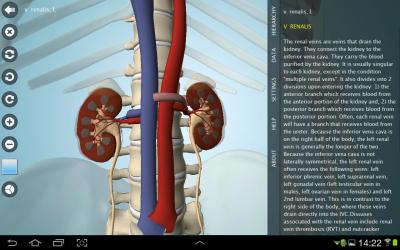 Anatomy 3D Pro - Anatronica