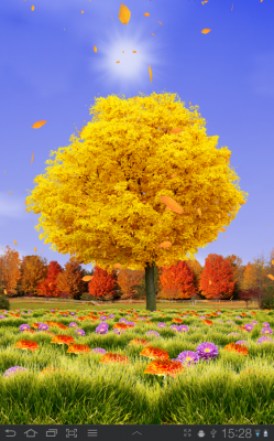 Живые обои: Осенние деревья / Autumn Trees Live Wallpaper