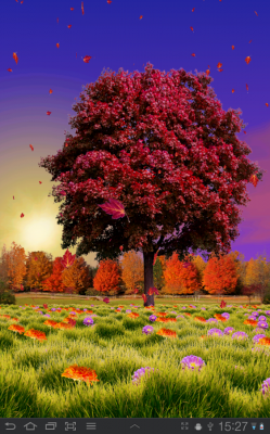 Живые обои: Осенние деревья / Autumn Trees Live Wallpaper