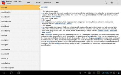 Websters Dictionary Thesaurus