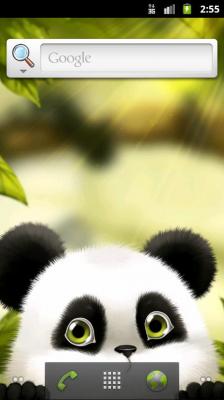 Живые обои с пандой / Live Wallpaper with panda