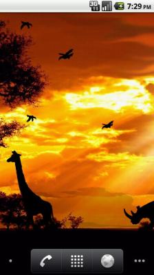 Живые обои: Африканский закат / African Sunset LiveWallpaper