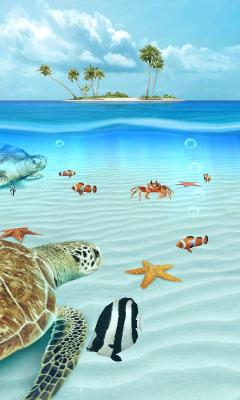 Ocean Aquarium 3D: Turtle Isle