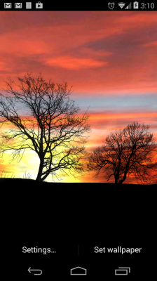 Живые обои: Силуэт / Silhouette Live Wallpaper