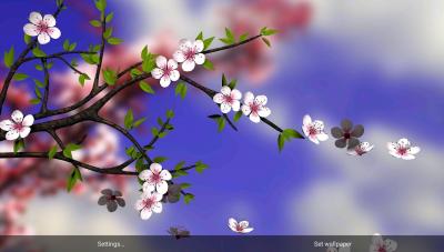 Spring Flowers 3D Parallax