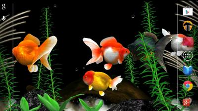 Живые Обои: Золотая рыбка / Gold Fish 3D Live Wallpaper