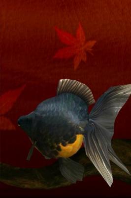 Живые Обои: Золотая рыбка / Gold Fish 3D Live Wallpaper