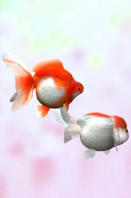 Живые Обои: Золотая рыбка / Gold Fish 3D Live Wallpaper