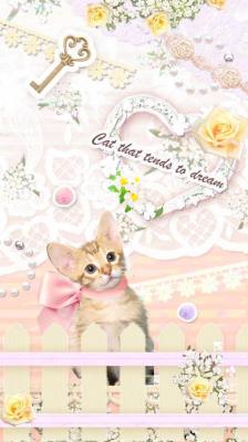 Pinky world of cats