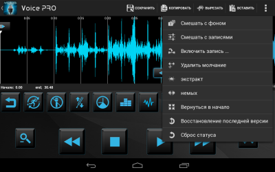 Voice PRO