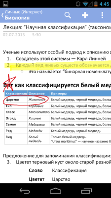 OneNote