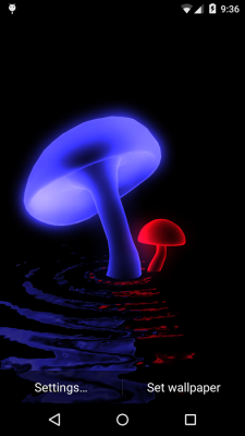 VA Magic Mushrooms 3D