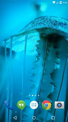 Ночной свет Jelly Fish 3D LWP