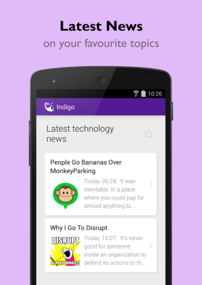 Indigo Virtual Assistant