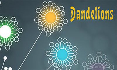 Одуванчики / Dandelions