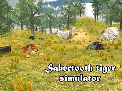 Sabertooth RPG Simulator